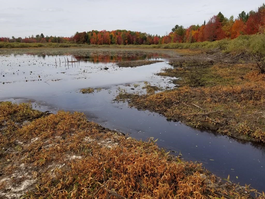 2089 Sigma Road Southeast Kalkaska, MI 49646 - Photo 1 of 57 1905734.JPG