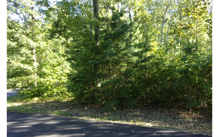 29 Rustic Barn Trail Morganton, GA 30560 - Photo 1 of 1 Main View