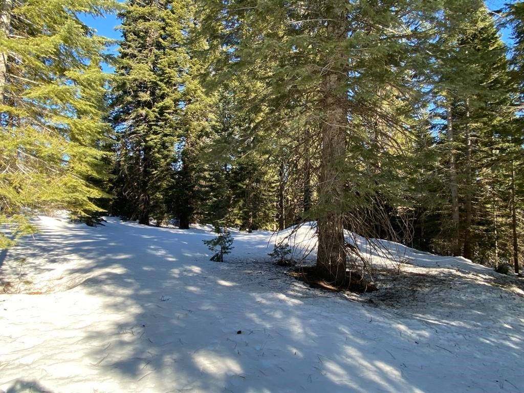 4-e-25 Ridge Drive McCloud, CA 96057 - Photo 14 of 18 Gallery Image 14