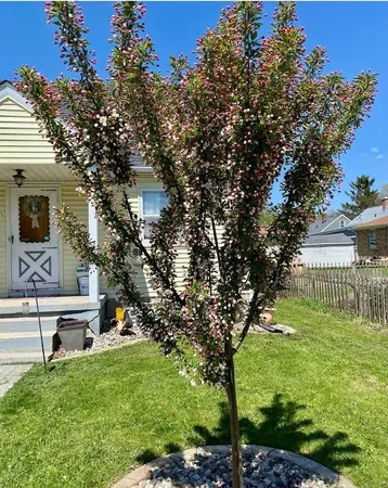 $325,000 | 2830 Hoard Street, Madison, WI 53704