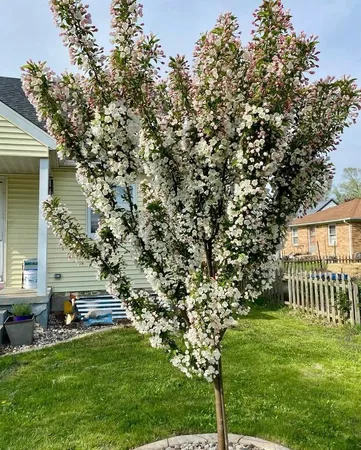 $325,000 | 2830 Hoard Street, Madison, WI 53704
