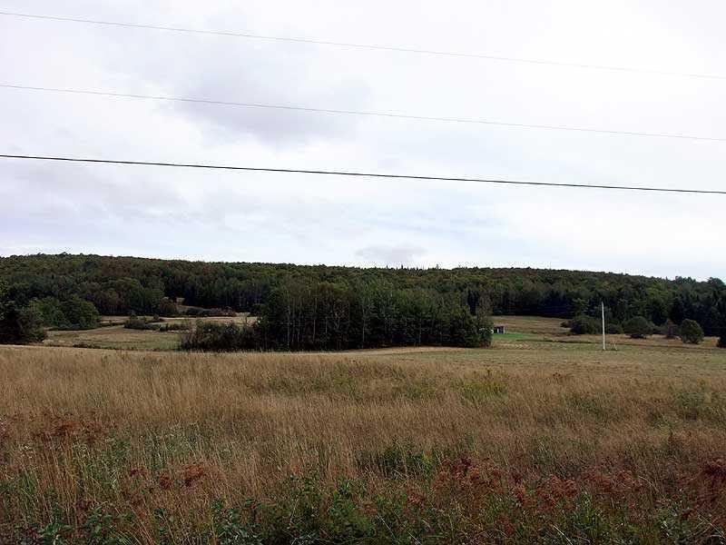 Lot 18 Thompson Settlement Road Oakfield, ME 04763 - Photo 12 of 19 Land.