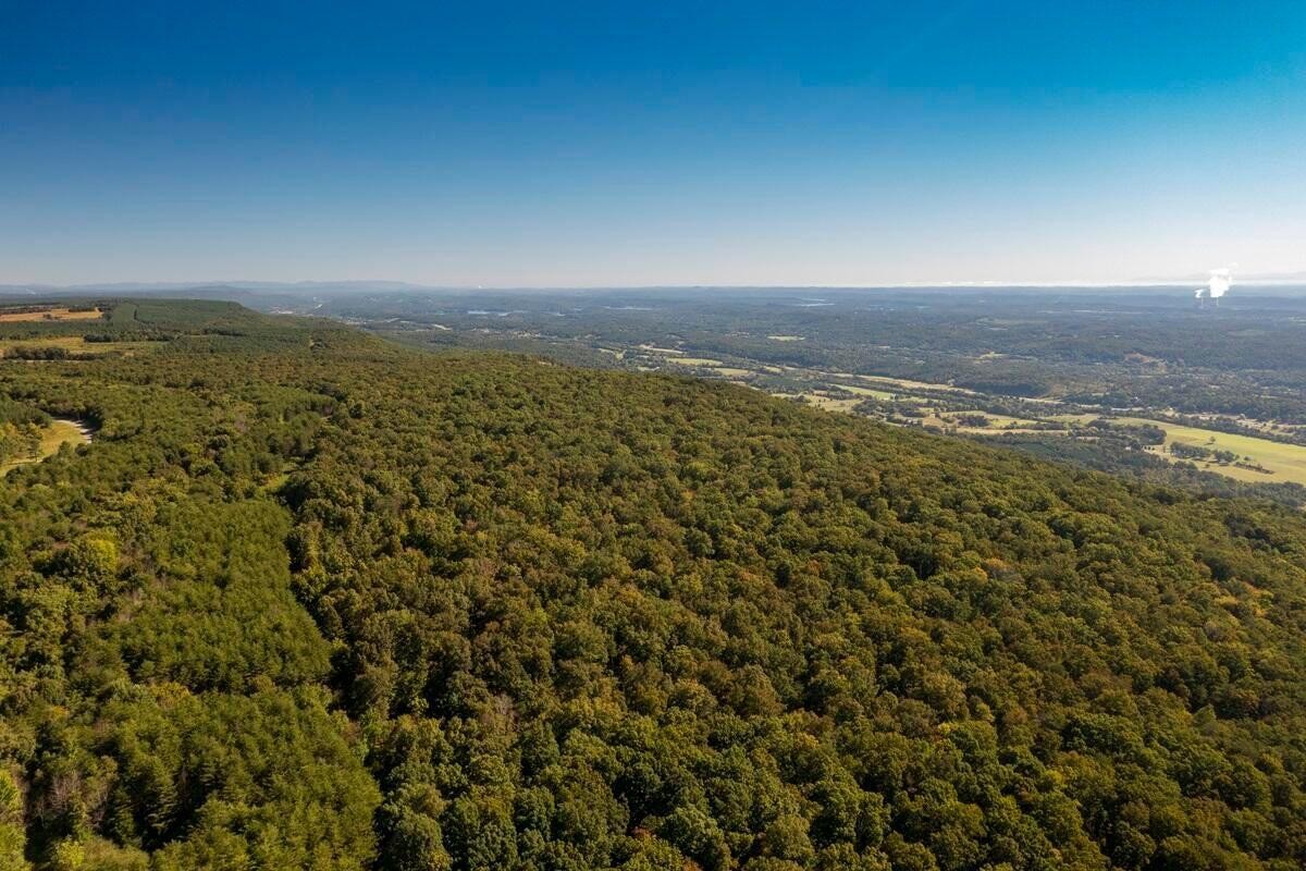 55 Wash Pelfrey Road Evensville, TN 37332 - Photo 6 of 14