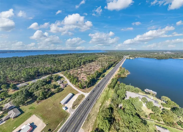 a view of a yard with lots of trees