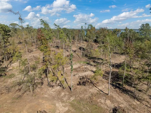 a view of a lake with houses in the back