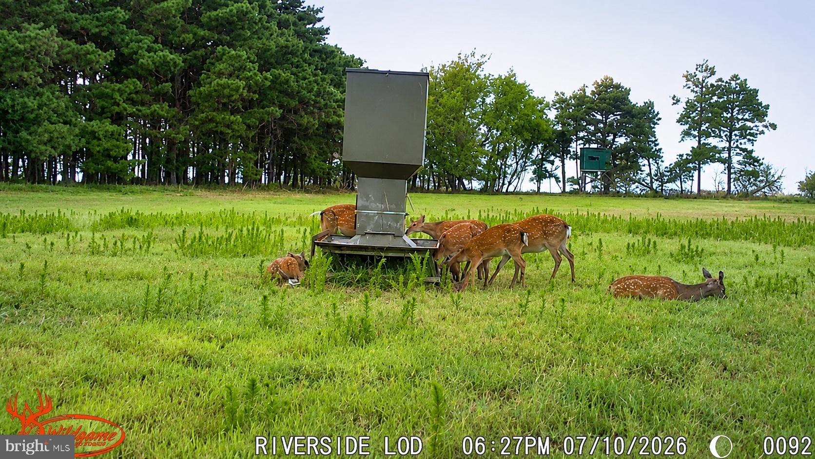 1713 Doeller Road Fishing Creek, MD 21634 - Photo 86 of 96