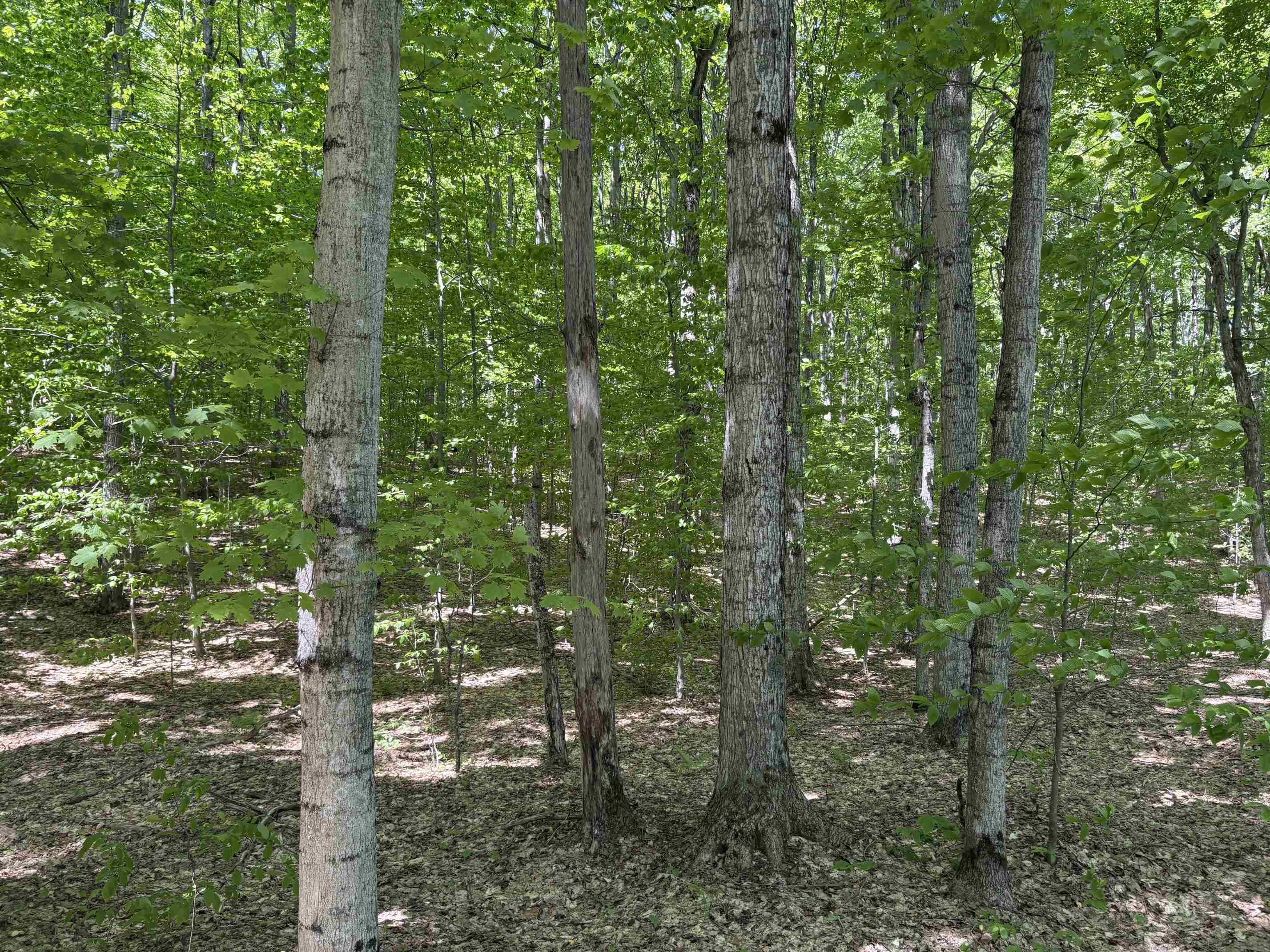 13631 Beaver Pond Road Empire, MI 49630 - Photo 12 of 55