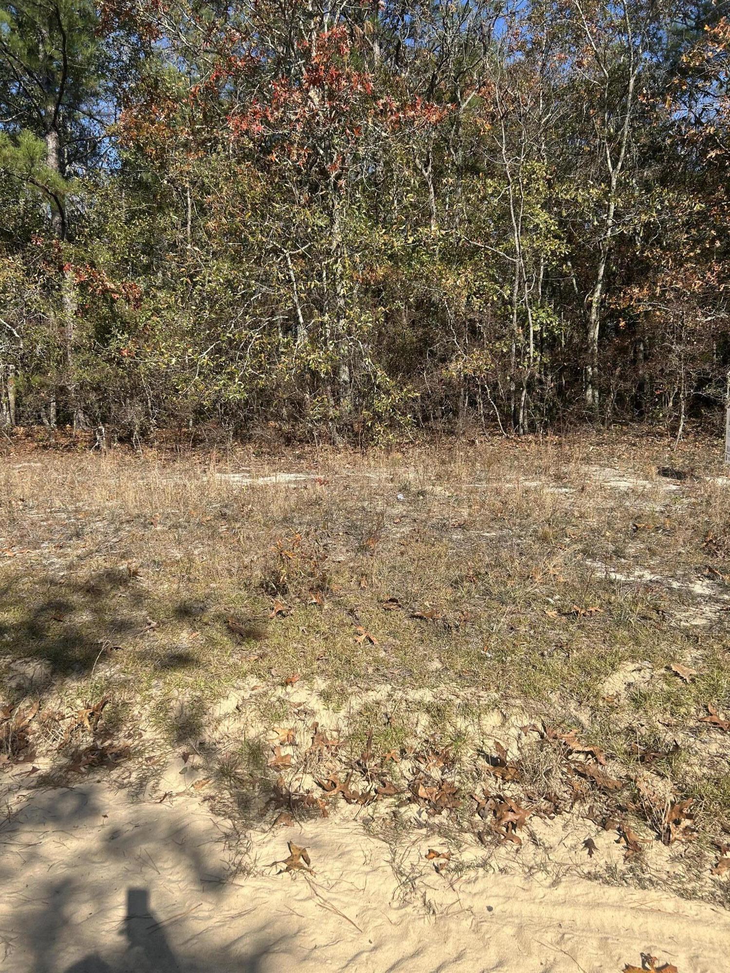 0 Hawthorn Trail St. Matthews, SC 29135 - Photo 1 of 2 IMG_5772