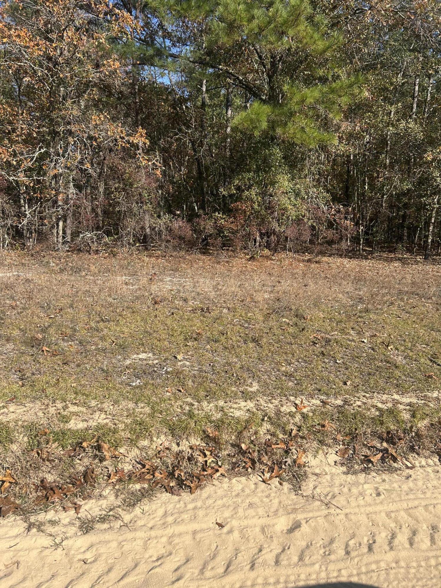 0 Hawthorn Trail St. Matthews, SC 29135 - Photo 2 of 2 IMG_5776