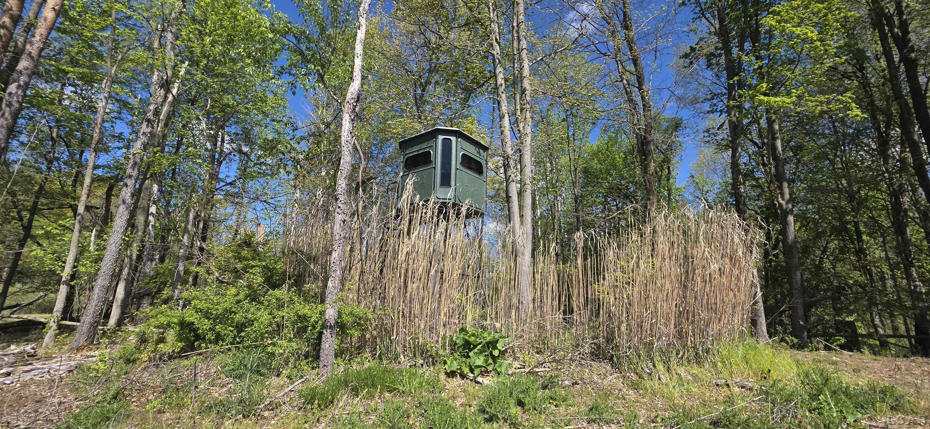 15252 27 Mile Road Albion, MI 49224 - Photo 1 of 57