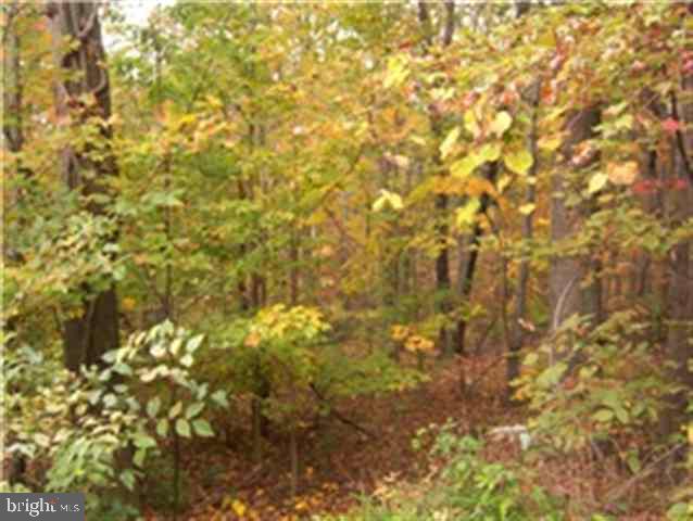 7 Hollow Road Newport, PA 17074 - Photo 5 of 10 Gallery Image 5