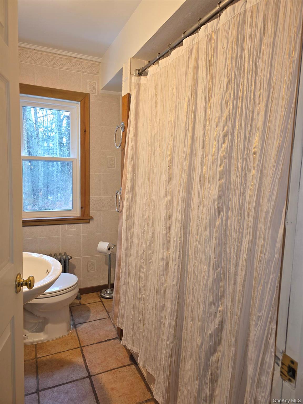 27 Airport Road Eldred, NY 12732 - Photo 13 of 28 a bathroom with a toilet and a shower curtain