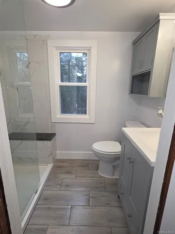 a bathroom with a toilet a sink and a shower
