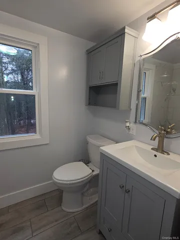 a bathroom with a sink toilet and window