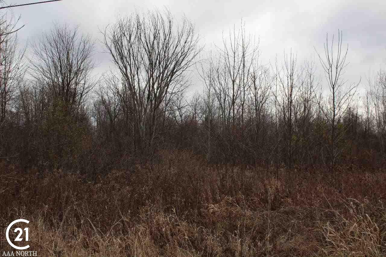 0 South Lake George Road Attica, MI 48412 - Photo 9 of 9
