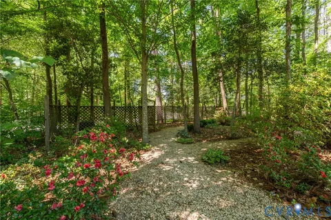 a view of a tree in the middle of a yard