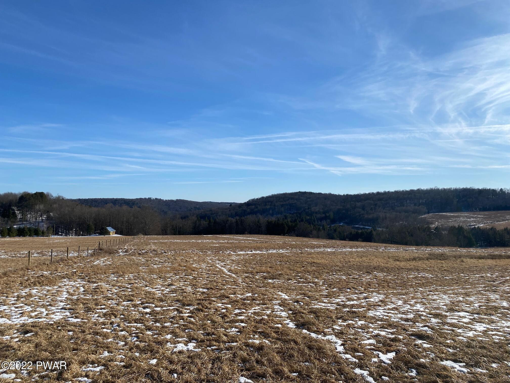 Calkins Road Milanville, PA 18443 - Photo 14 of 30