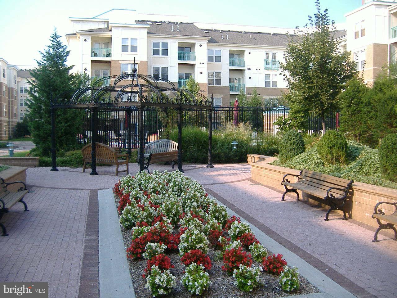 12000 Market Street, Unit 203 Reston, VA 20190 - Photo 20 of 23 Exterior (General)