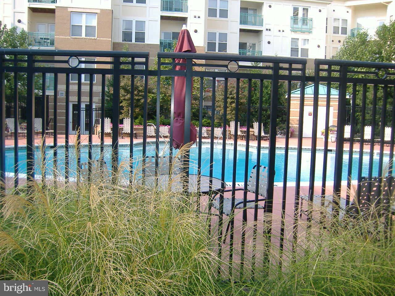 12000 Market Street, Unit 203 Reston, VA 20190 - Photo 22 of 23 Exterior (General)