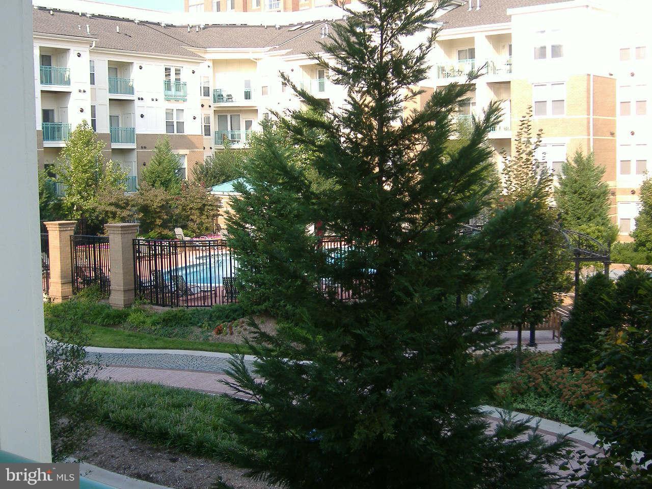 12000 Market Street, Unit 203 Reston, VA 20190 - Photo 23 of 23 Exterior (General)