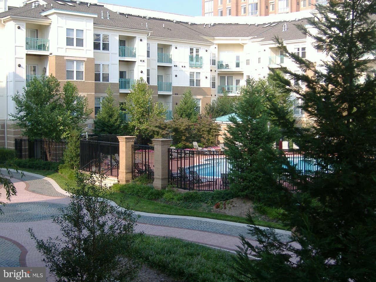 12000 Market Street, Unit 203 Reston, VA 20190 - Photo 7 of 23 Exterior (General)