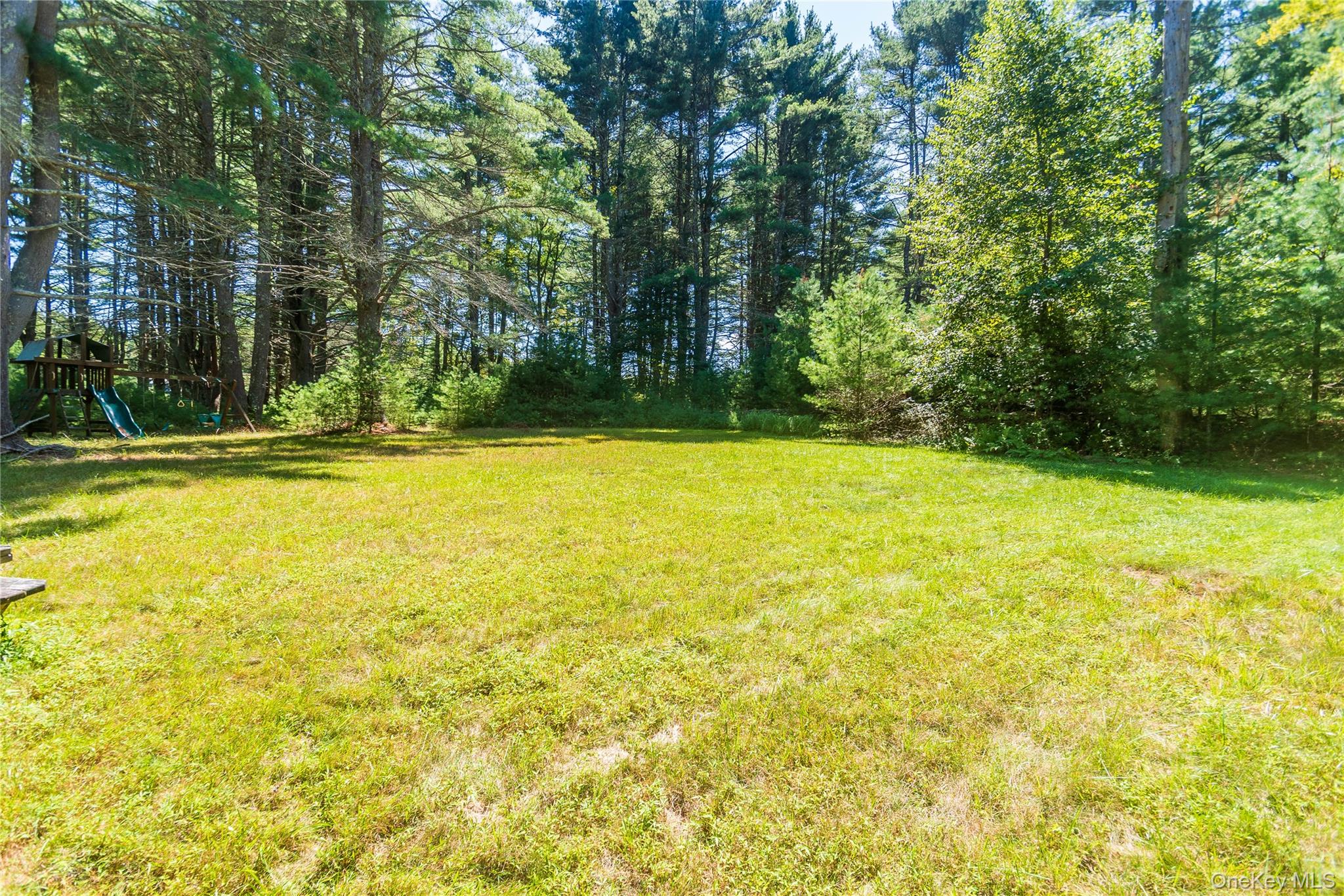 90 Hillside Road Barryville, NY 12719 - Photo 32 of 39 a view of a swimming pool and trees in the background