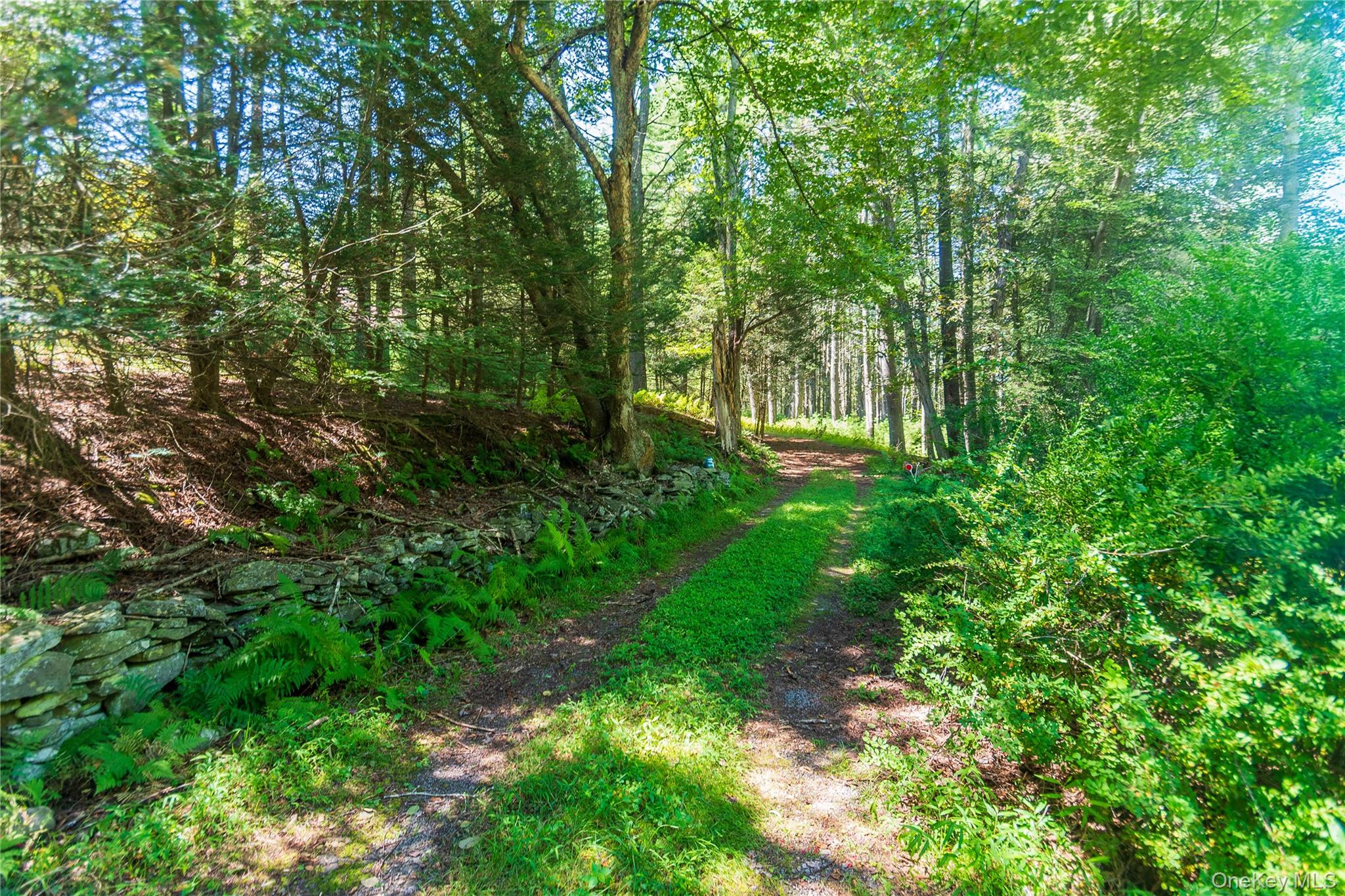 90 Hillside Road Barryville, NY 12719 - Photo 33 of 39 a view of yard