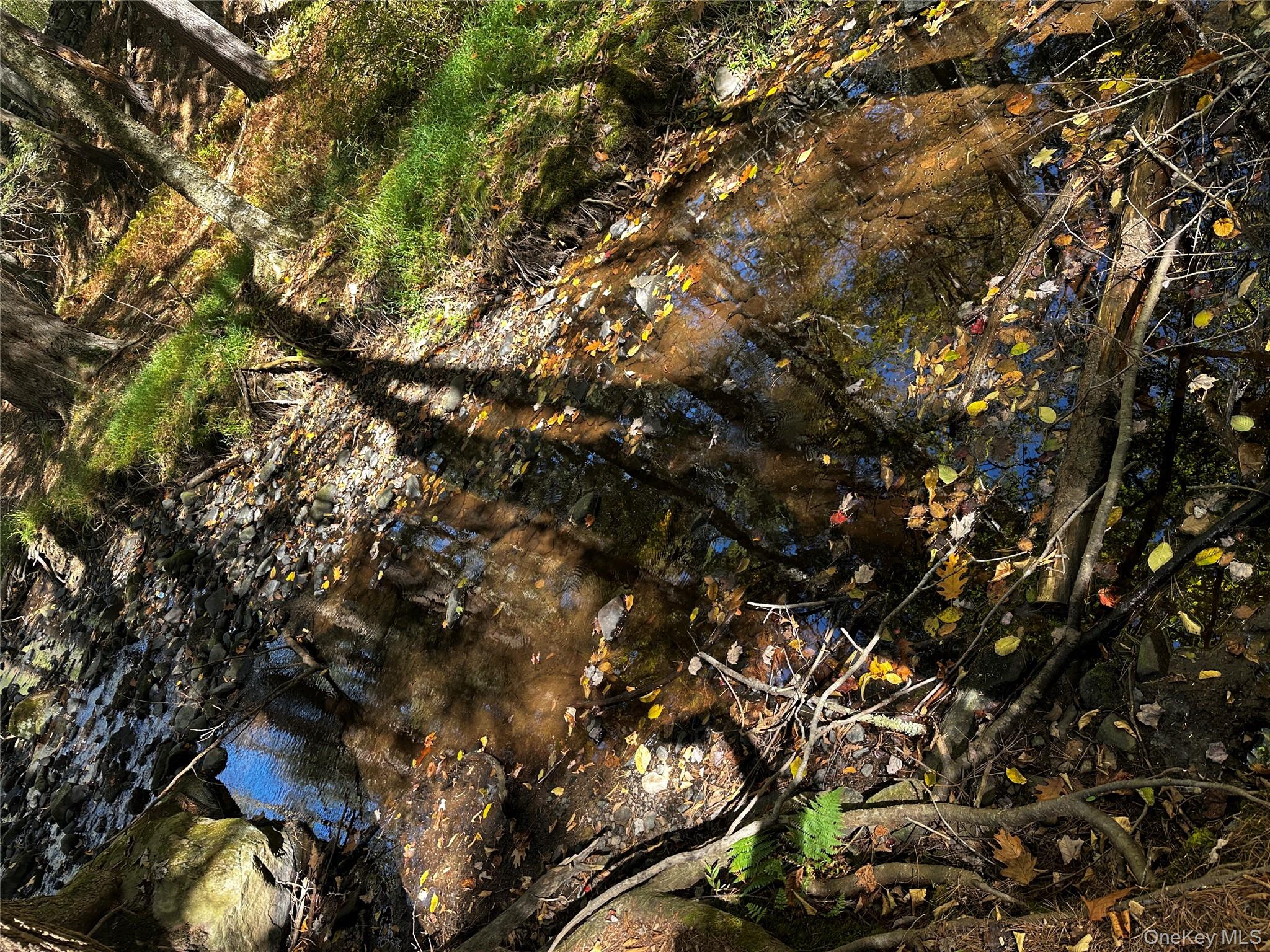 90 Hillside Road Barryville, NY 12719 - Photo 34 of 39 a view of a tree