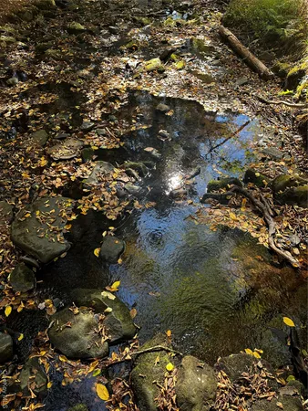 a view of outdoor space