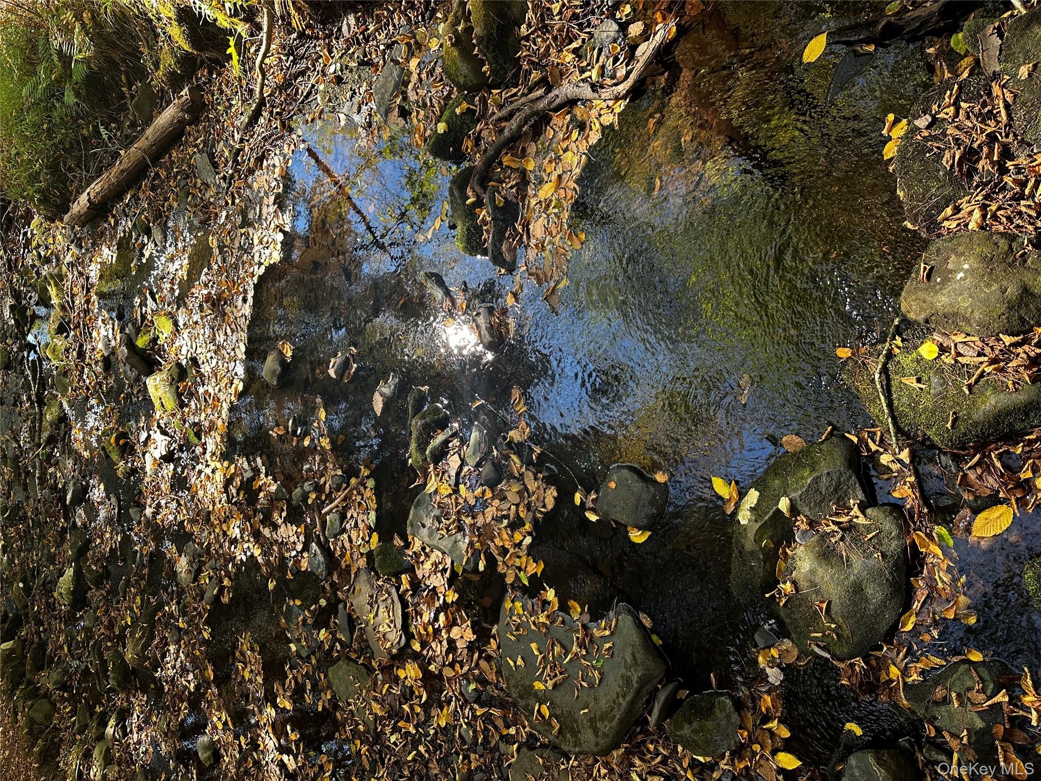 90 Hillside Road Barryville, NY 12719 - Photo 4 of 39 a view of outdoor space