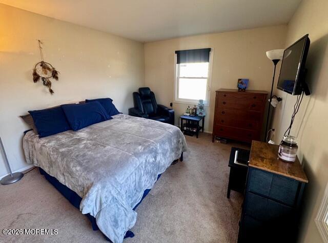 4 Dogwood Road Manahawkin, NJ 08050 - Photo 17 of 28 a bedroom with a bed and a flat tv screen