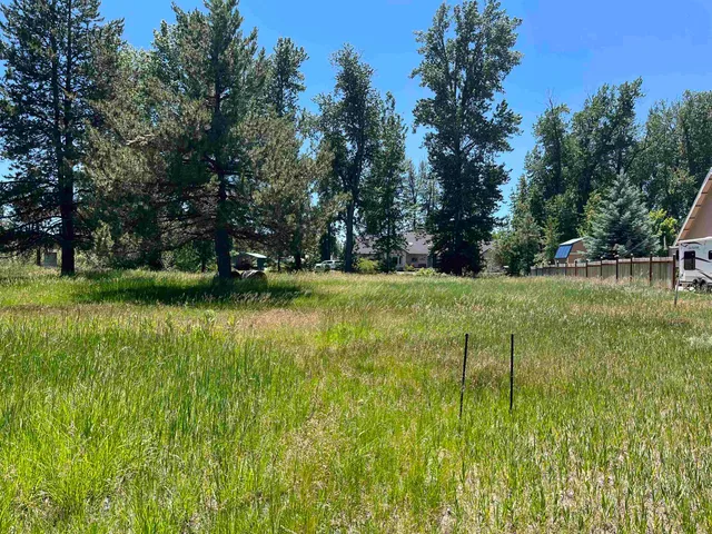 a view of yard with swimming pool and green space