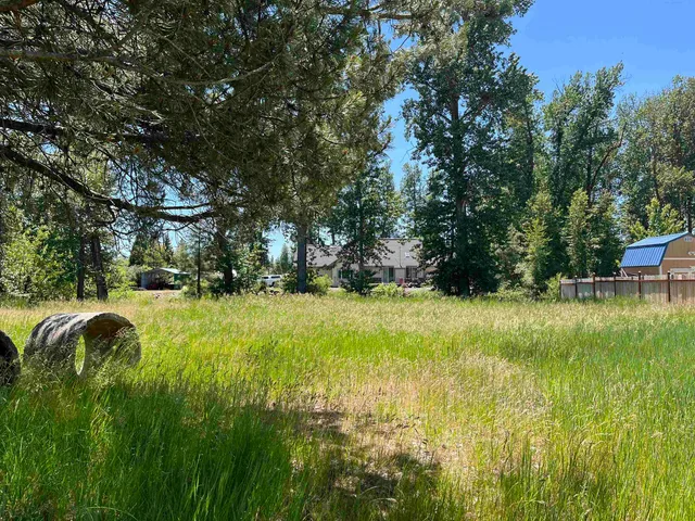 a view of backyard with swimming pool