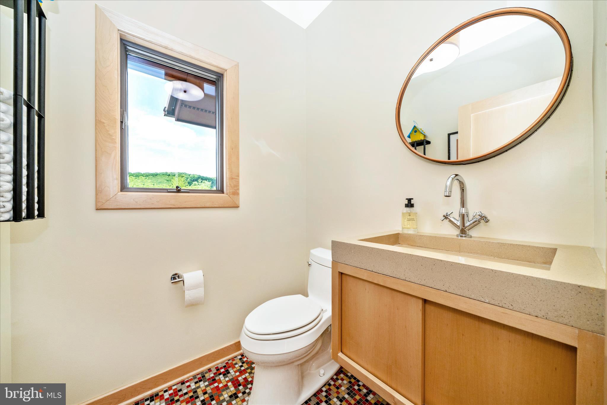 9237 Frostown Road Middletown, MD 21769 - Photo 29 of 113 a bathroom with a sink a mirror and a toilet