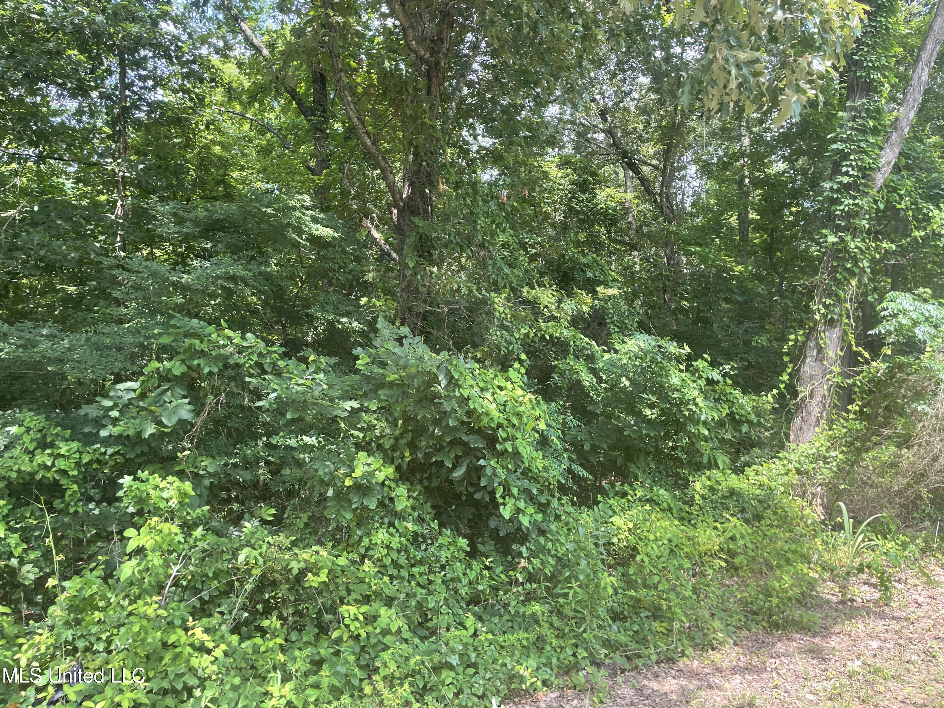 Magnolia Circle Sarah, MS 38665 - Photo 1 of 2 Front