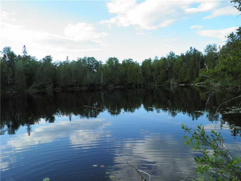 1211 Rangeley Road Avon, ME 04966 - Photo 28 of 29 Other. School House Pond on Day Mt....