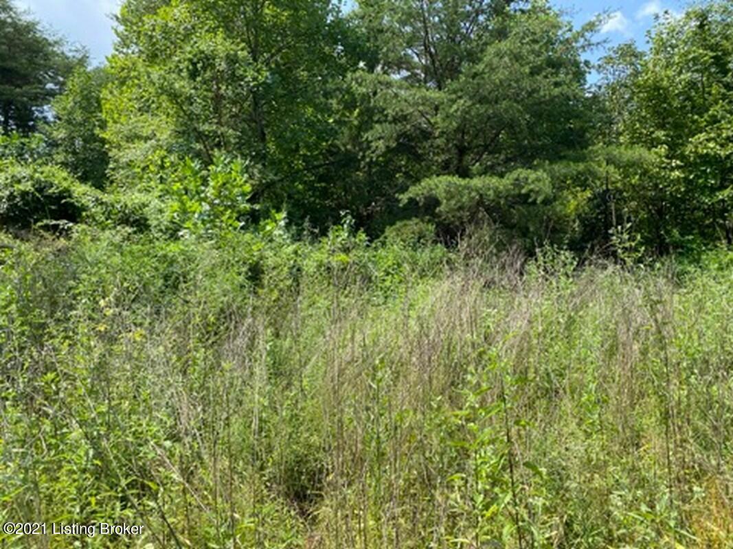 Lot 7-0 Wax Road Clarkson, KY 42726 - Photo 3 of 7 Logsdon Acres North Farm10