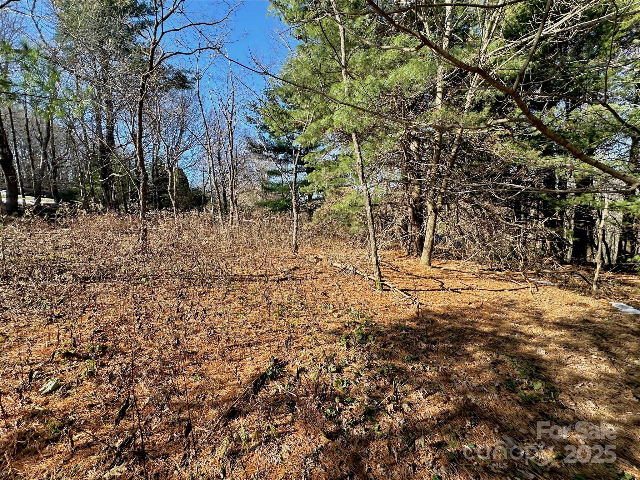 Tbd George Hayes Road Boone, NC 28607 - Photo 22 of 26