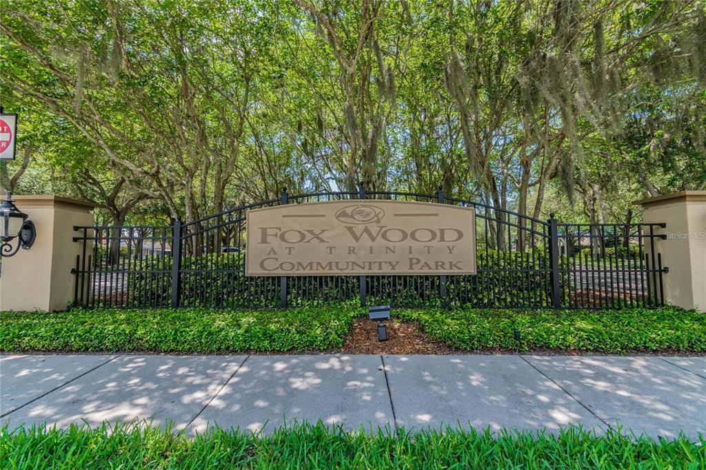 1718 Roseroot Court Trinity, FL 34655 - Photo 49 of 55