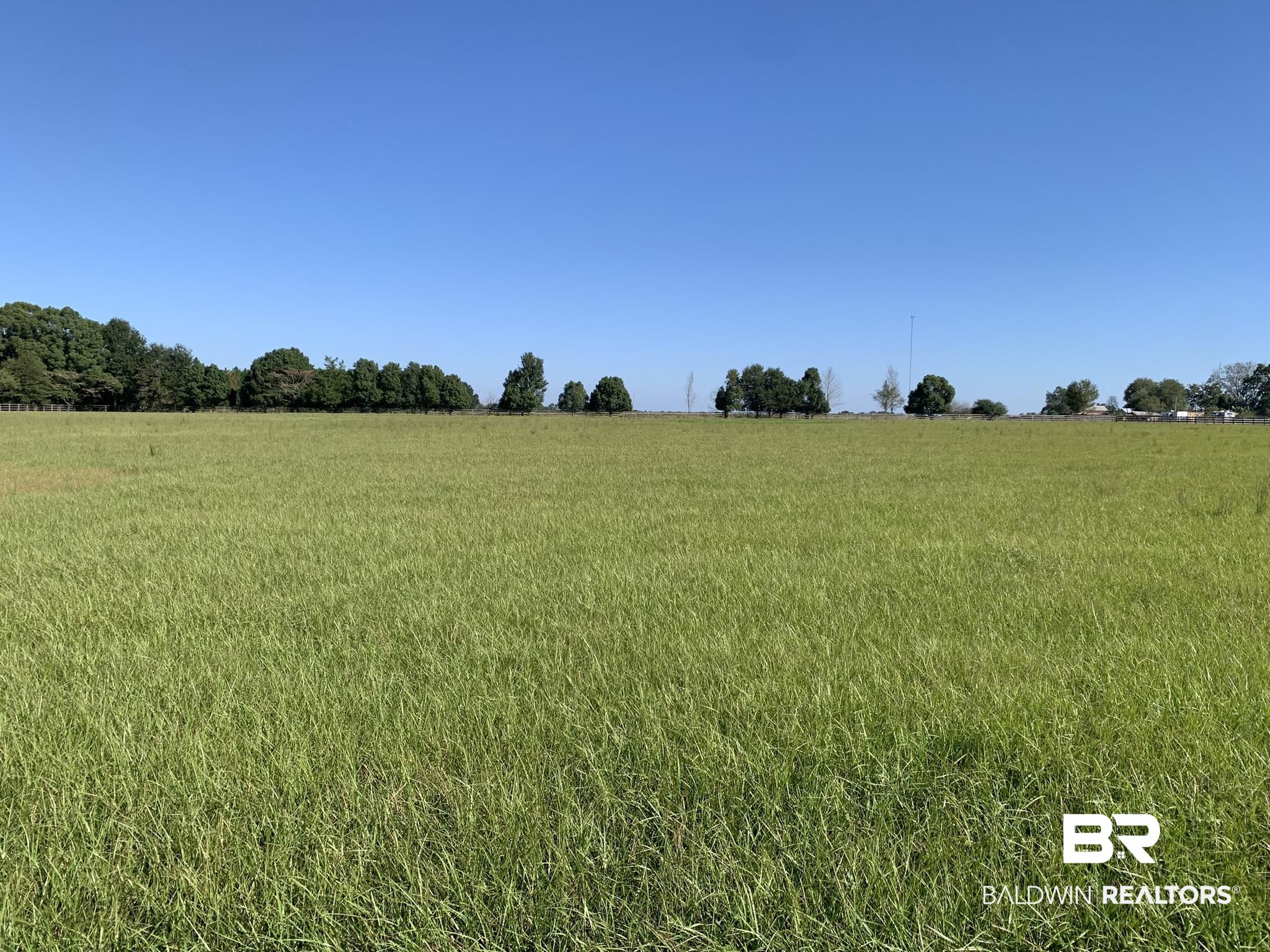 21239 Highway 90 Robertsdale, AL 36567 - Photo 3 of 3 View of nature featuring a rural view