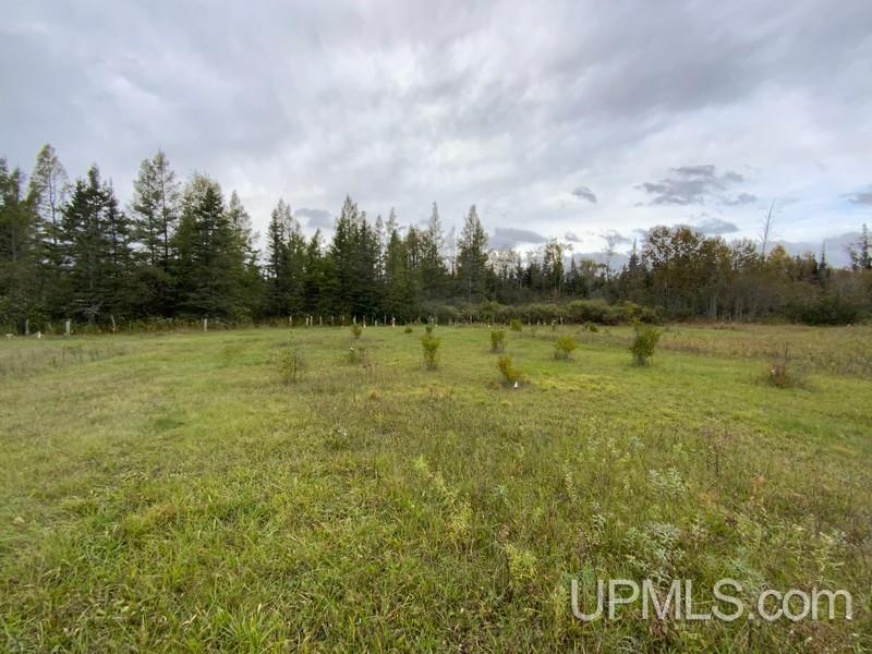 1898 Rm Road Rock, MI 49880 - Photo 43 of 52 Gallery Image 43
