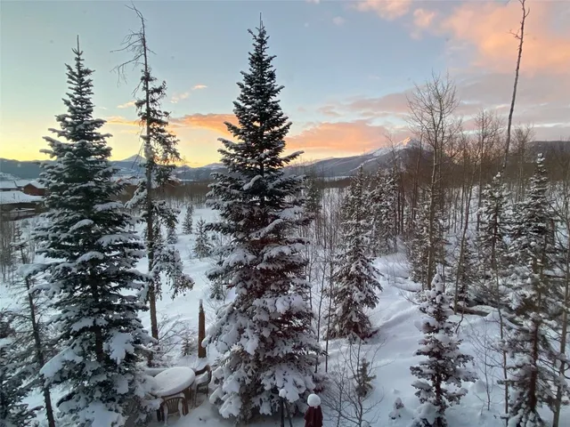 $53,500 | 9800 Ryan Gulch Road, Unit 302, Silverthorne, CO 80498