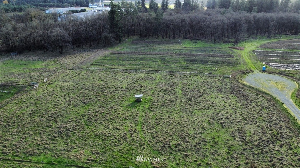 8637 183rd Avenue Southwest Rochester, WA 98579 - Photo 28 of 33 a backyard of a house with lots of green space