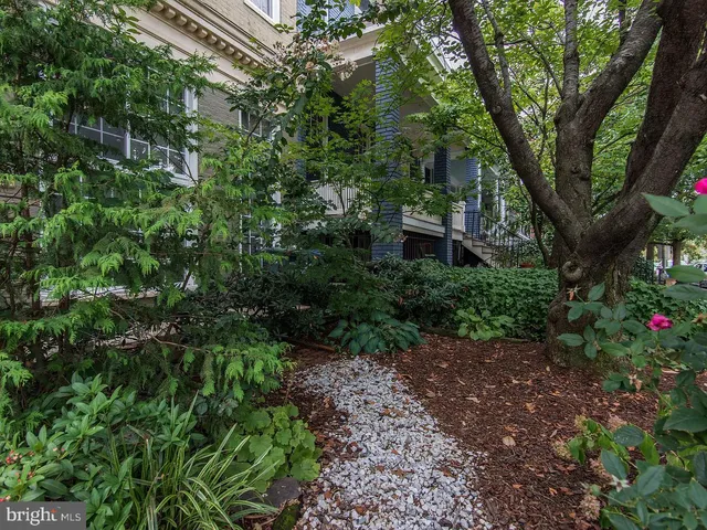 a view of a garden with large trees