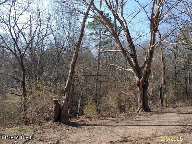 386 South Hunter Bend Road Decatur, TN 37322 - Photo 2 of 8 front yard area