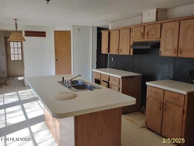 386 South Hunter Bend Road Decatur, TN 37322 - Photo 5 of 8 Kitchen