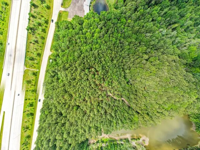 a view of a yard in a backyard