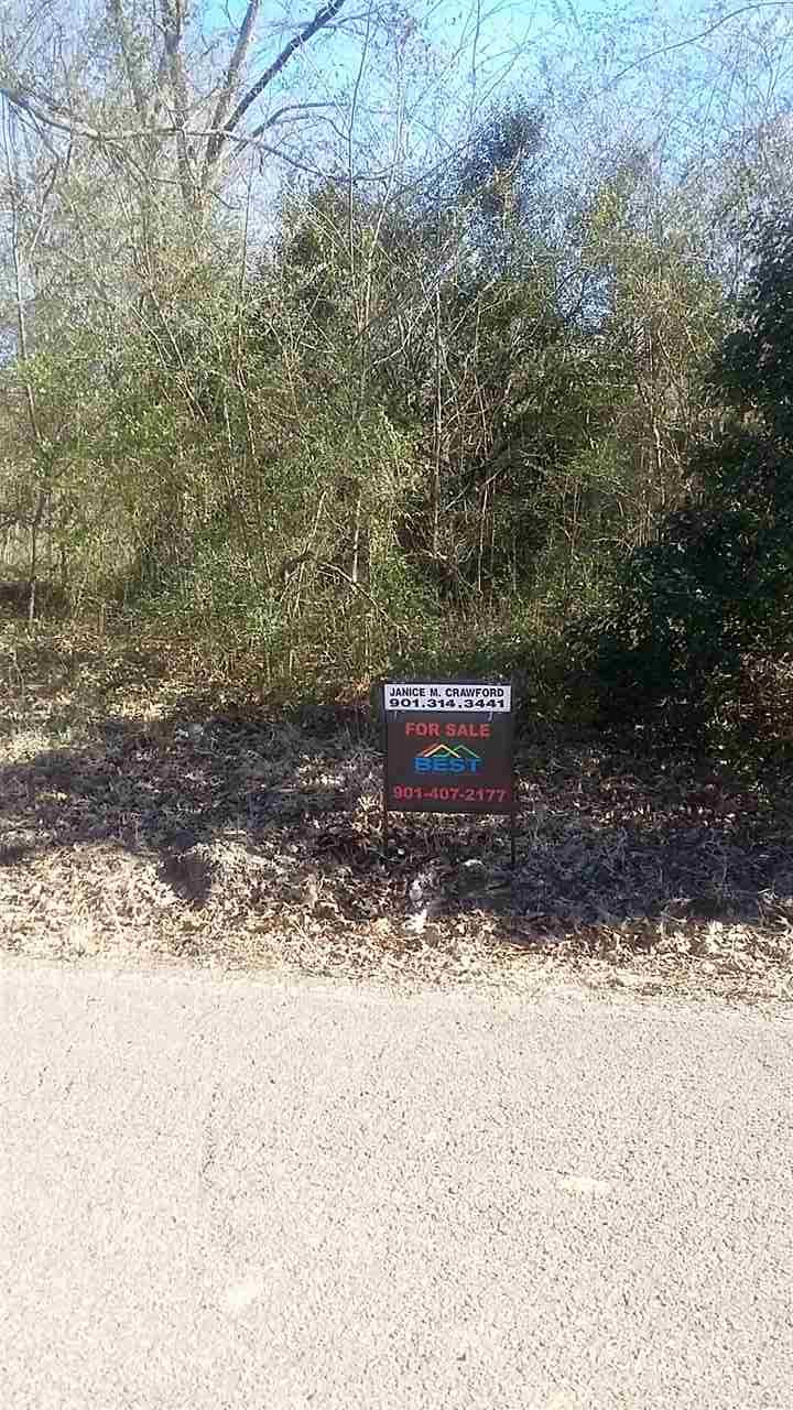 6996 Walsh Road Millington, TN 38053 - Photo 1 of 4 View taken from Walsh Cove intersection
