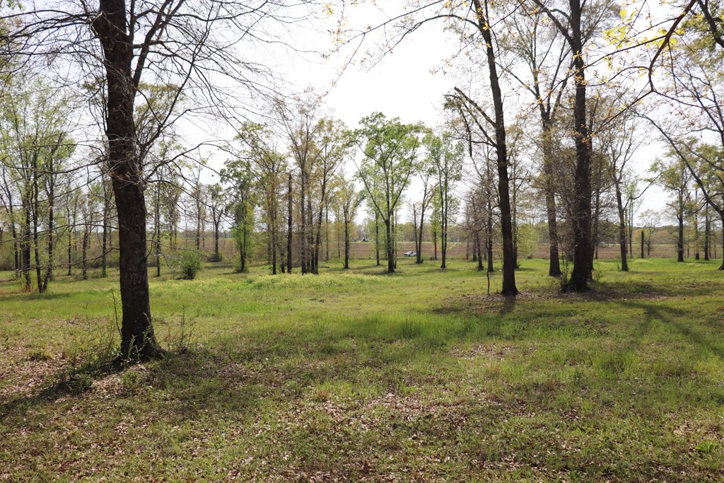 2154 J East Saunders Road Dothan, AL 36301 - Photo 6 of 15