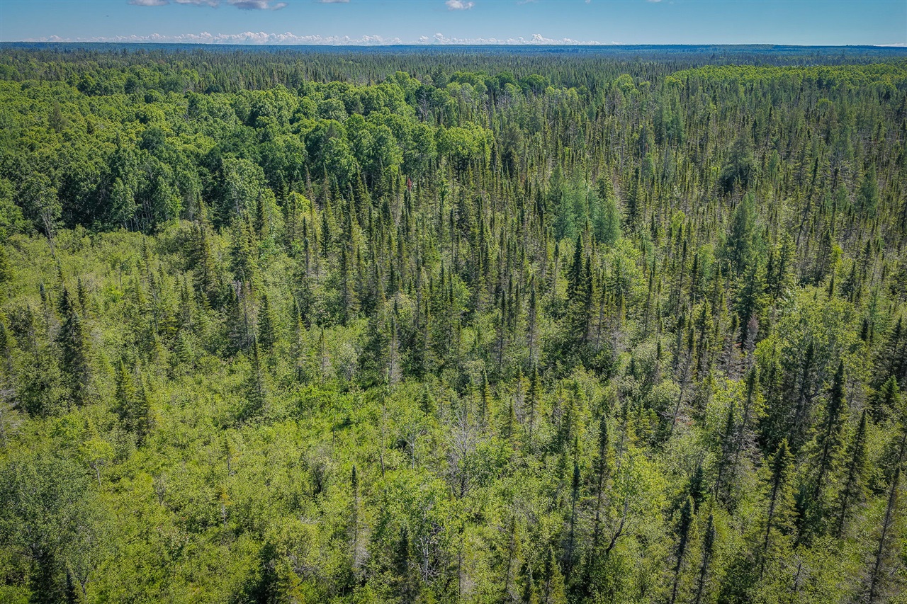 South North Hulbert Road Eckerman, MI 49728 - Photo 5 of 29